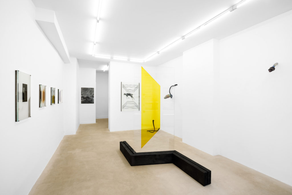 2020_PIA RONDE FABIEN SALEIL_CRYPTIDE_GALERIE VALERIA CETRARO_photo Salim Santa Lucia_SSL_7844_HD300dpi